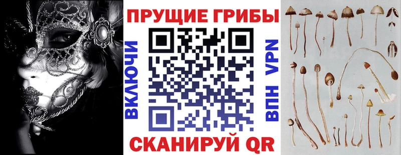 Галлюциногенные грибы Magic Shrooms  Семилуки 